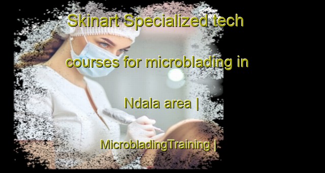 Skinart Specialized tech courses for microblading in Ndala area | MicrobladingTraining | MicrobladingClasses | SkinartTraining-Angola
